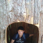 ���������� �����������, ���� ������� �������, 40 ���, ������������ ��� ������, ����� � ���������, c�������� ���������, ���������