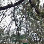 ���������� ������-��-����, ���� ������� �������, 63 ����, ������������ ��� c�������� ���������, ���������