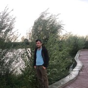  ,   Arif, 31 ,   ,   , c 