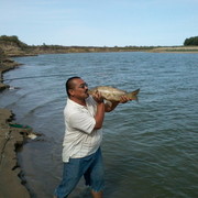 ���������� ���������, ���� ������� �����, 63 ����, ������������ 