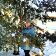 ���������� ����������, ������� �������, 43