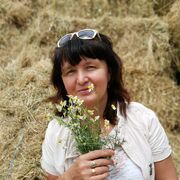 ���������� ������, ���� ������� �������, 53 ����, ������������ ��� ������, ����� � ���������, c�������� ���������