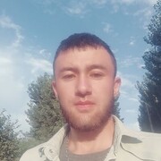  ,  , 29