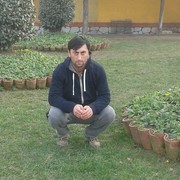  ,   Sulxan, 41 ,   ,   , c 