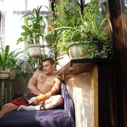  ,   Golden Boy, 42 ,   ,   , c 