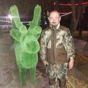  -,   , 55 ,   