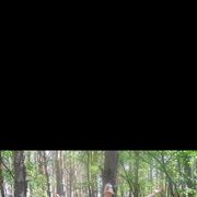 ���������� ����, ���� ������� Andrey, 40 ���, ������������ ��� ������, ����� � ���������, c�������� ���������, ���������