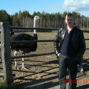 ���������� �����, ���� ������� ������, 43 ����, ������������ ��� ������, ����� � ���������, c�������� ���������