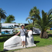 ���������� �������, ���� ������� �������, 46 ���, ������������ ��� ����� � ���������, c�������� ���������