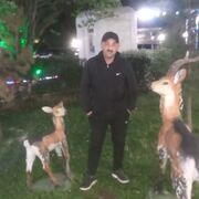 ���������� �����-���������, ���� ������� Edik, 40 ���, ������������ ��� ������, ����� � ���������