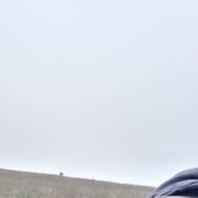  ,   , 59 ,     , c 