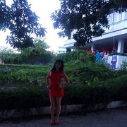 ���������� �����������, ���� ������� ������, 33 ����, ������������ ��� ������, ����� � ���������