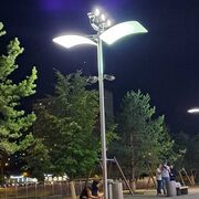 ���������� ������, ���� ������� ��������, 41 ���, ������������ ��� ������, ����� � ���������