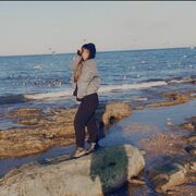  ,   Panda, 30 ,   ,   
