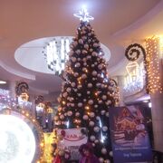  ,   Vika, 34 ,   ,   , c , 