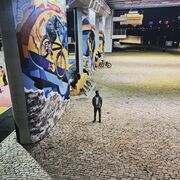 ���������� ������, ���� ������� ��������, 32 ����, ������������ ��� c�������� ���������