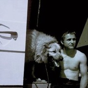 ���������� �����, ���� ������� ����, 33 ����, ������������ ��� ������, ����� � ���������, c�������� ���������