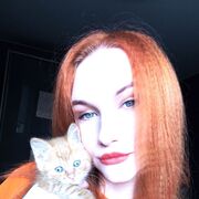 ���������� ������, ���� ������� ���������, 22 ����, ������������ ��� ����� � ���������, ���������