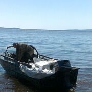 ���������� ����-�������, ���� ������� �������, 45 ���, ������������ ��� ������, ����� � ���������, c�������� ���������