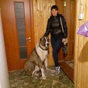 ���������� �������, ���� ������� �����, 43 ����, ������������ 