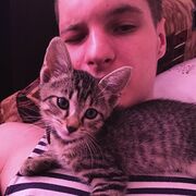 ���������� �����������, ���� ����� ������, 24 ����, ������������ ��� ������, ����� � ���������, ���������