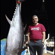 ���������� ���������, ���� ������� �����, 44 ����, ������������ ��� ������, ����� � ���������