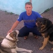 ���������� �������, ���� ������� ���������, 46 ���, ������������ ��� ����� � ���������, ���������