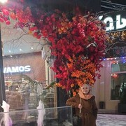  ,   , 54 ,   