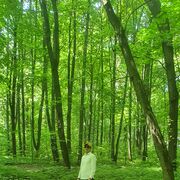 ���������� �����-���������, ���� ������� �����, 44 ����, ������������ ��� ������, ����� � ���������, ���������