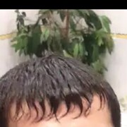 ���������� ����������, ���� ������� �����, 32 ����, ������������ ��� ������, ����� � ���������