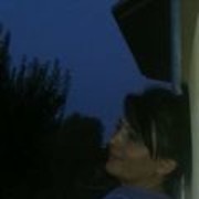  ,   Galconok, 36 ,   