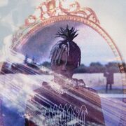 ���������� ������, ���� ������� Walid, 30 ���, ������������ ��� ������, ����� � ���������