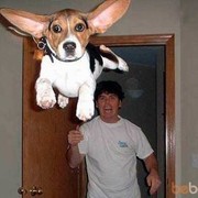 ���������� ������, ���� ������� Aleksei, 45 ���, ������������ ��� ������, ����� � ���������, c�������� ���������