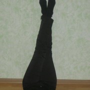  ,   , 49 ,  