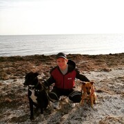 ���������� ���������, ���� ������� ����, 34 ����, ������������ ��� ������, ����� � ���������, c�������� ���������, ���������