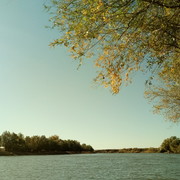  ,   , 61 ,   ,   , c 