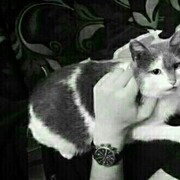 ���������� �������, ���� ������� ����, 39 ���, ������������ ��� ������, ����� � ���������