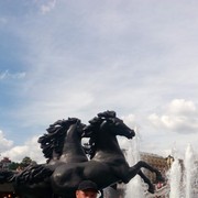 ���������� ������������, ���� ������� �����, 44 ����, ������������ ��� ������, ����� � ���������, c�������� ���������