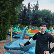 ���������� �����-���������, ���� ������� Zoir, 27 ���, ������������ ��� ������, ����� � ���������