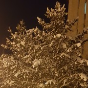  ,   , 48 ,   ,   , c 