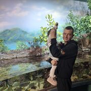 ���������� �������, ������� ���������, 43