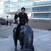 ���������� ������, ���� ������� Amir, 35 ���, ������������ ��� ������, ����� � ���������, c�������� ���������