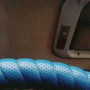 ���������� �����������, ���� ������� ���������, 37 ���, ������������ ��� ������, ����� � ���������