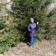 ���������� ������, ���� ������� ���, 75 ���, ������������ ��� ���������