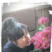 ���������� ���������, ���� ������� ������, 48 ���, ������������ ��� ������, ����� � ���������