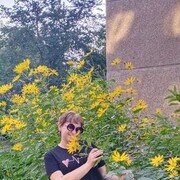 ���������� ����, ���� ������� �����, 38 ���, ������������ ��� c�������� ���������