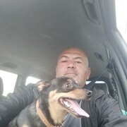  ,   , 54 ,  