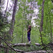 ���������� ������, ���� ������� ������, 39 ���, ������������ ��� c�������� ���������