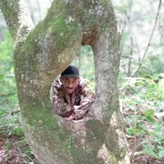 ���������� ����������, ���� ������� �������, 51 ���, ������������ ��� ������, ����� � ���������