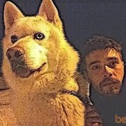 ���������� ������, ���� ������� ������, 36 ���, ������������ ��� ������, ����� � ���������, c�������� ���������, ���������